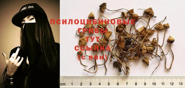меф Алзамай
